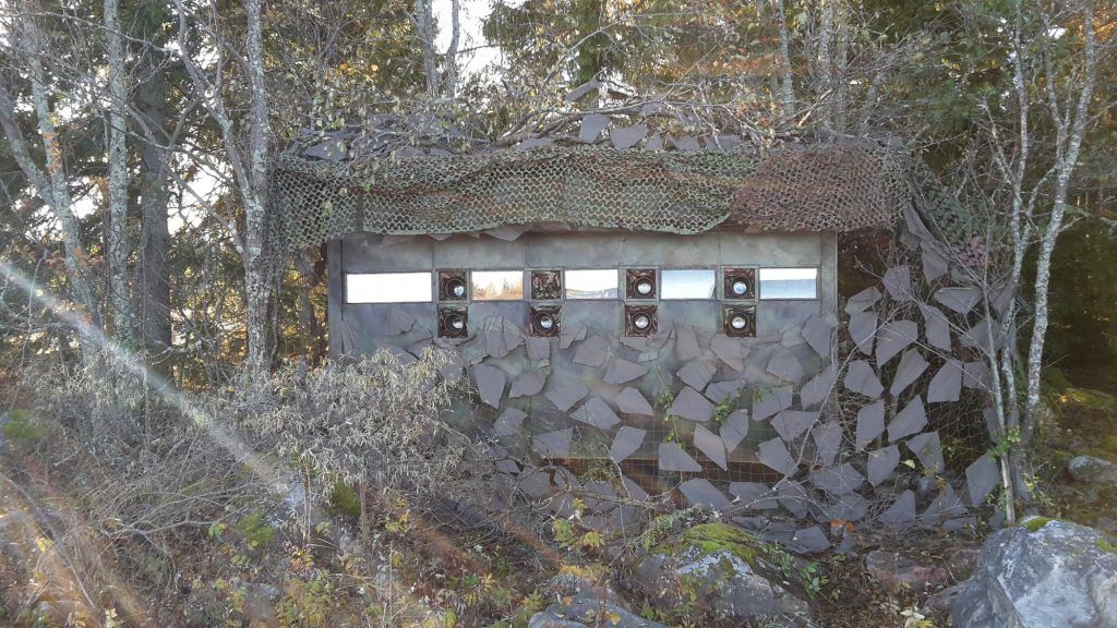 Havsörn 2 timmar från Stockholm/Sundsvall