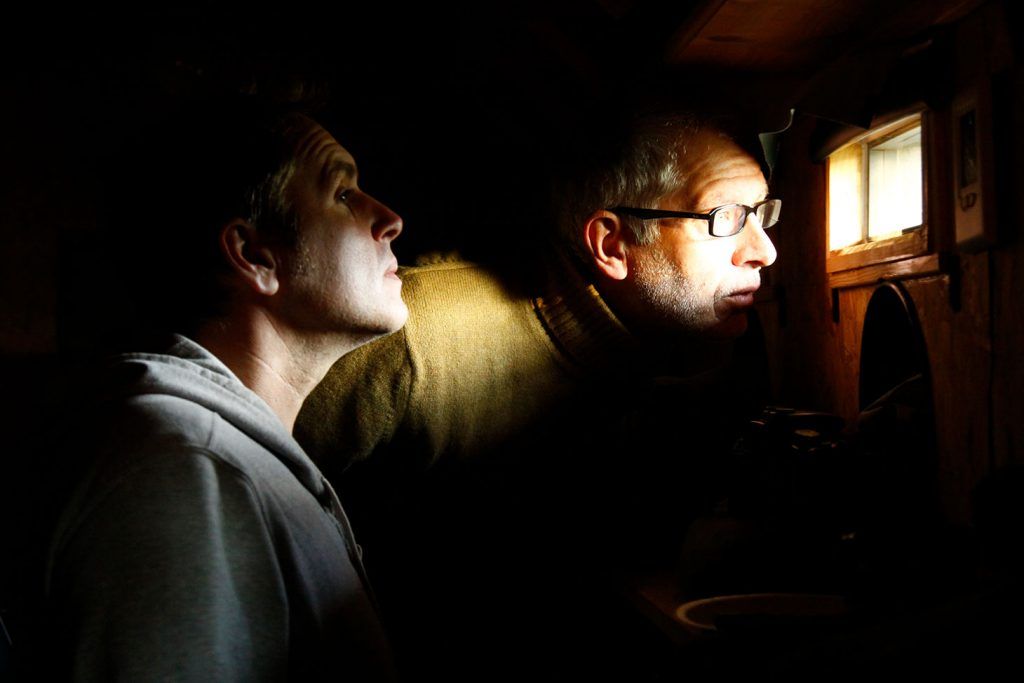 Björnskådning i Hälsingland