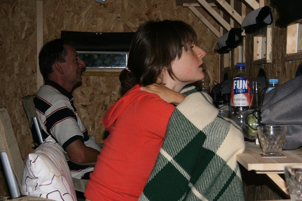 Björnskådning i Hälsingland